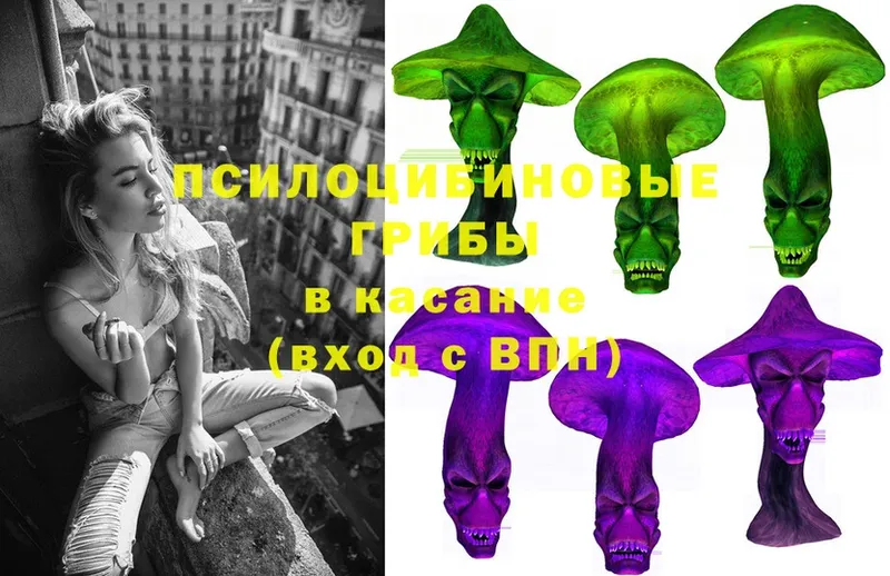 Галлюциногенные грибы MAGIC MUSHROOMS  Волгореченск 